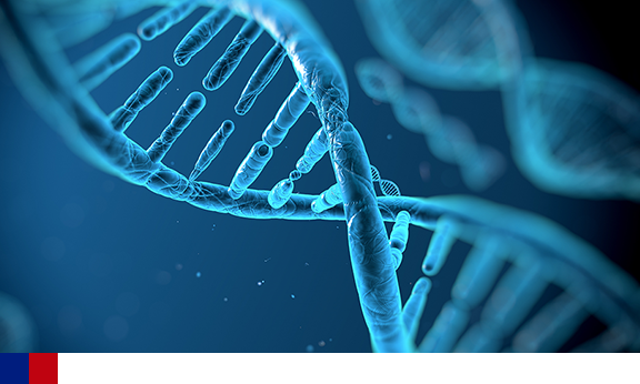 Dois terços das mutações causadoras de câncer ocorrem devido a erros aleatórios de reprodução do dna, diz estudo